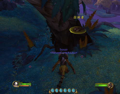 魔兽世界10.0栗子怎么获得,魔兽世界10.0栗子宠物获取方法