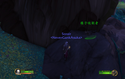 魔兽世界10.0栗子怎么获得,魔兽世界10.0栗子宠物获取方法