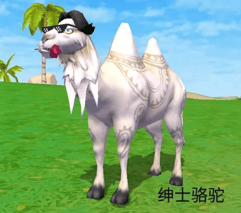 创造与魔法哪些奇遇动物可以进化,创造与魔法奇遇坐骑进化解析