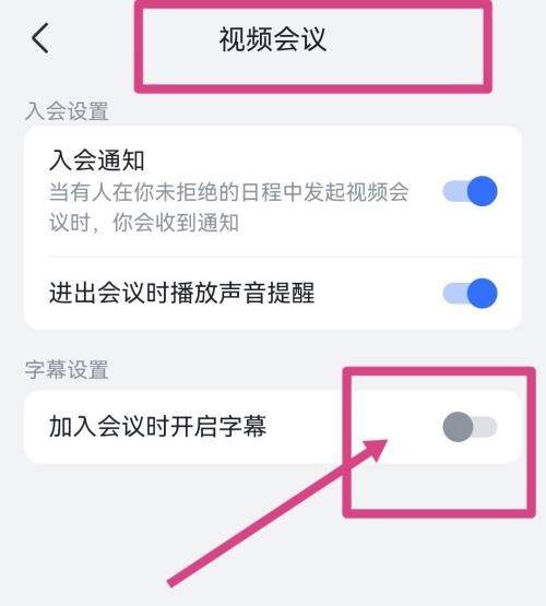 飞书怎么开启视频会议字幕？飞书开启视频会议字幕教程图片3