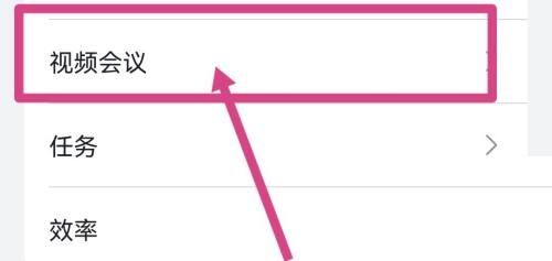 飞书怎么开启视频会议字幕？飞书开启视频会议字幕教程图片2