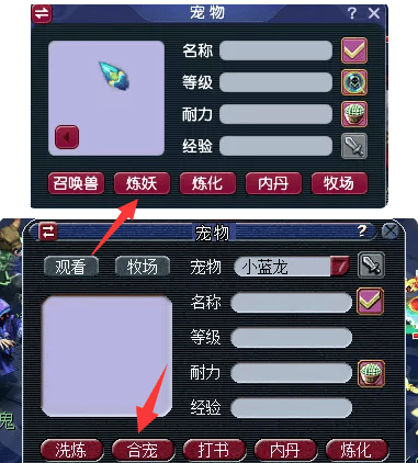 梦幻西游怎么合宝宝2023,梦幻西游细节合宠攻略指南