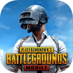 pubg国际服手游 2024下载官方正版 3.0