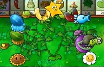 植物大战僵尸嫁接版植物玩法6