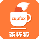 茶杯狐