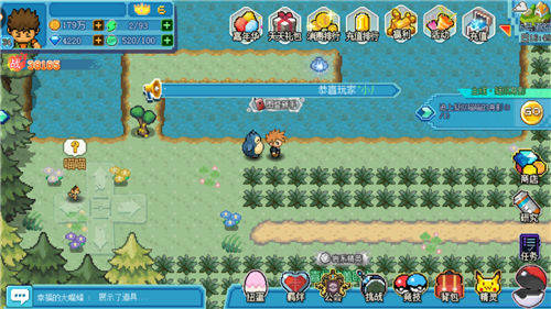 口袋新世代神秘宝藏攻略截图1