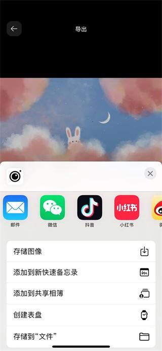 Instasize修图神器使用教程7