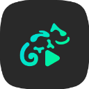 蜥蜴音乐播放器