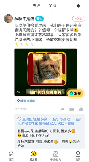 哈啰街猫流浪猫app官方版怎么用截图6