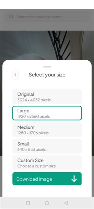 pexels免费素材网怎么下载图片截图3