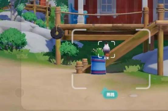 心动小镇海鸥观鸟位置攻略