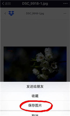 Dropbox手机版如何下载照片