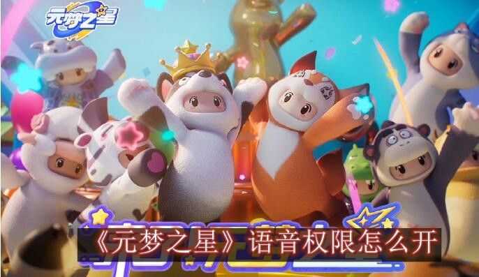元梦之星语音权限怎么开？ 语音权限设置开启攻略图片1