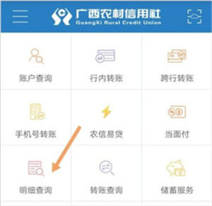 如何查询往年明细截图3