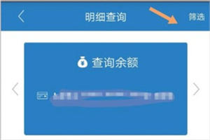 如何查询往年明细截图4