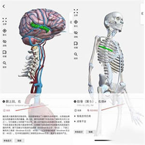 使用教程截图2