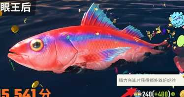 欢乐钓鱼大师双倍经验怎么获得？ 精力充沛是什么时候？图片2
