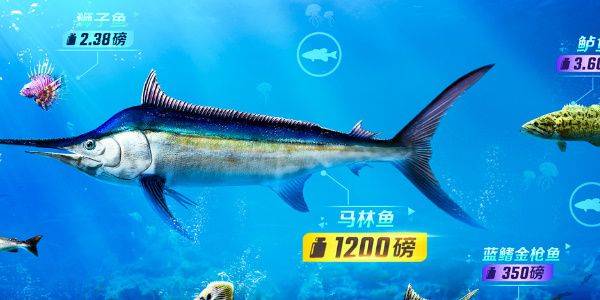 欢乐钓鱼大师鱼类图鉴大全 欢乐钓鱼大师稀有鱼图鉴攻略图片1