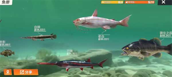 欢乐钓鱼大师鱼类图鉴大全 欢乐钓鱼大师稀有鱼图鉴攻略图片2