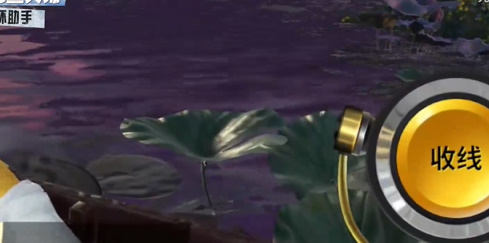 欢乐钓鱼大师怎么钓s评分 千分以上的鱼获取方法图片3