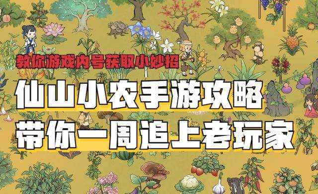 仙山小农手游攻略 萌新入门必看指南图片1