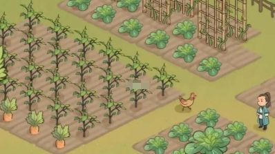 仙山小农种子怎么解锁 全部种子等级解锁方法图片2