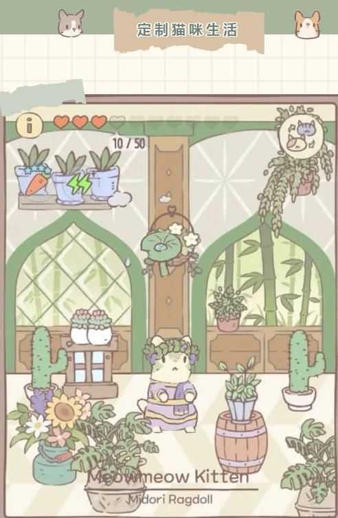 猫咪和汤游戏攻略大全 猫汤新手入门必备指南图片3