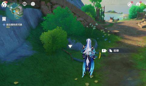 原神随处可见的树枝任务攻略 4.6隐藏任务随处可见的树枝通关流程图片4
