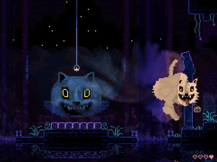 动物井蜡烛在哪？ 全蜡烛收集位置攻略图片1