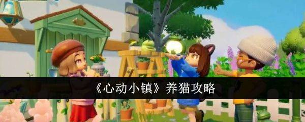 心动小镇怎么养猫？ 养猫攻略大全图片1