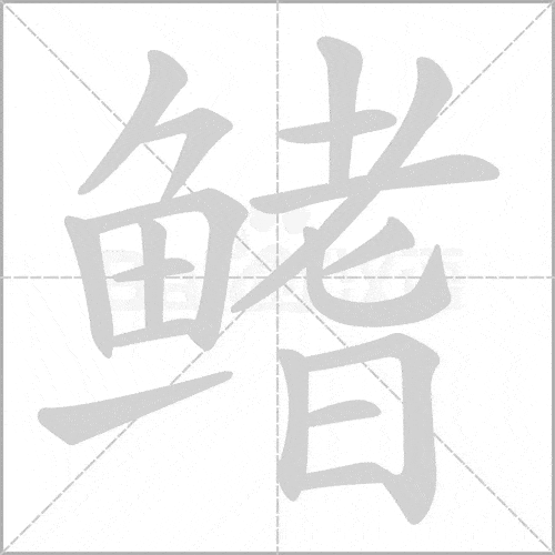 鳍怎么读(鳍怎么读音正确) 鳍这个字读什么?