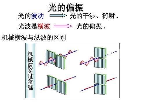 汽车偏振器为什么45(纵波为什么没有偏振)