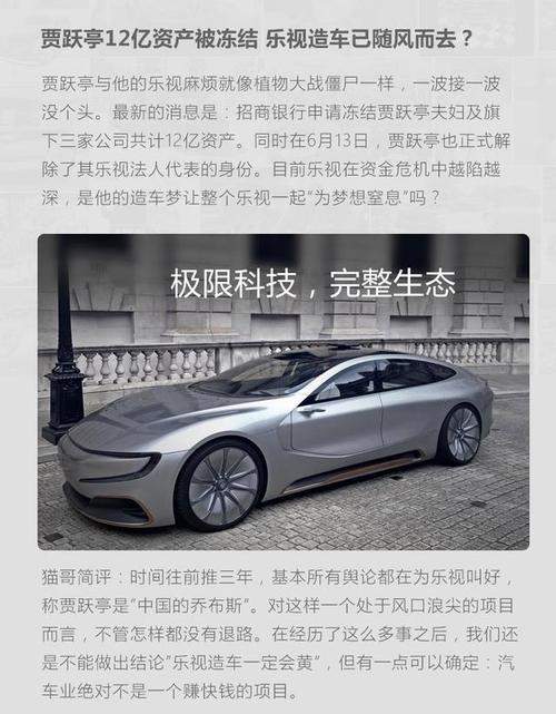 乐视为什么要造汽车(乐视造汽车的风险)