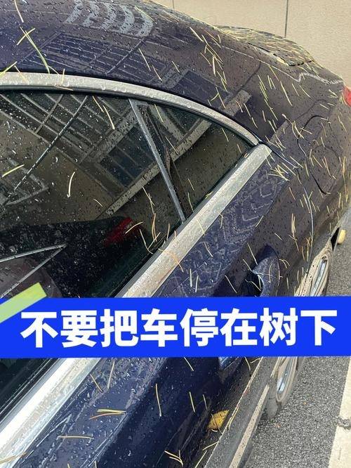 为什么车停树底下洗不掉了 汽车停树底下