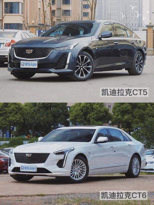 5系与ct6哪个好(ct6和宝马5对比)