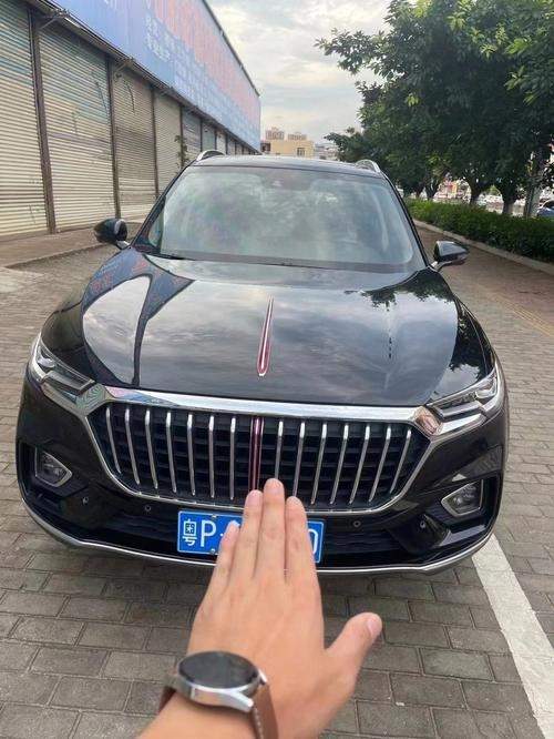 为什么用红旗汽车(为什么红旗汽车很少见)