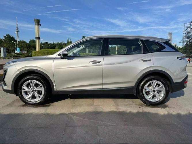 红旗和奔腾哪个好(红旗与奔腾区别)